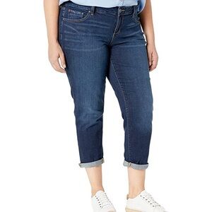 Slink Jeans Plus Size Amber Boyfriend Jean Size 24